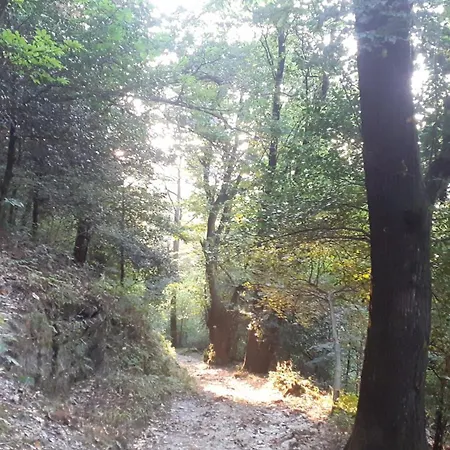 Casa Eva - Osolemio * Monteggio